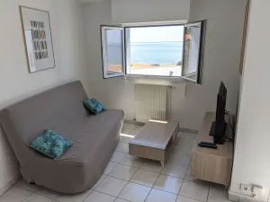 Image of T3 Sea View with beach at 20m Saint-Marc-sur-Mer