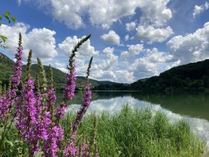 Image of Cozy vacation apartment in a wonderful climbing, hiking and cycling area