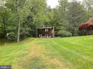 Image of Respite from Reality