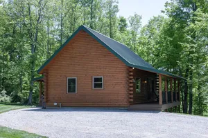 Image of Cozy Bear at Tranquil Acres
