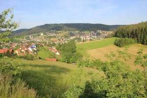 Image of Baiersbronn, Schwarzwald, Aussicht, 2 Zi., Sonne, Balkon, Ruhe