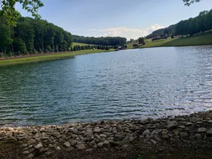 Image of Beautiful lake view property nestled in the pines 79 miles north of Pittsburgh.