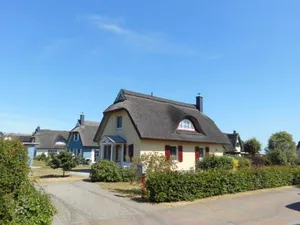 Image of Thatched cottage sunshine