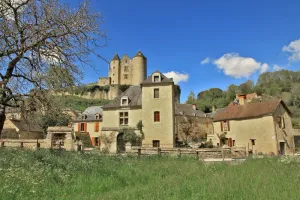Image of Petite maison en pierre au coeur du Périgord noir proche de Sarlat et Rocamadour
