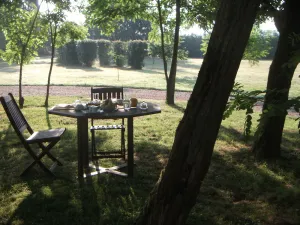 Image of Former winegrower's farm with swimming pool and 6000 m2 of land.
