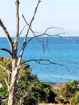 Image of RESIDENCE LA PLAGE Pieds dans l'eau Belle Vue mer