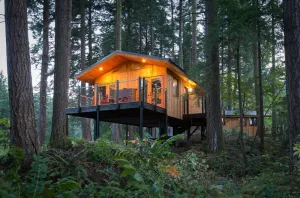 Image of Majestic Treetop Getaway with Private Firepit