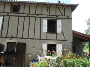 Image of In the green a half-timbered house with soothing lights.