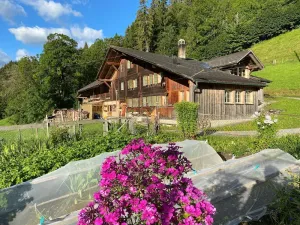 Image of Holiday house Zweisimmen for 1 - 6 persons with 3 bedrooms - Farmhouse