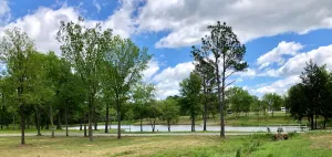 Image of Fleming Orchard—a Texas Country Getaway