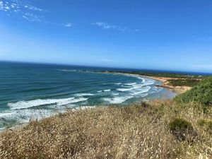 Image of Walk to beaches,cafes,kids playground and oval- Amazing location- Stunning Home