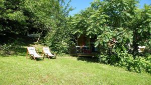 Image of Pecan nuts - Mobil home Wood Martin Fisherman