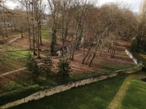 Image of Completely renovated apartment