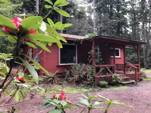 Image of Kona Cabin in the Redwoods