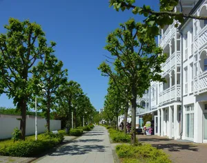 Image of MeerUrlaub 625 SEEPARK Sellin mit BALKON