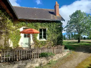 Image of The lime tree lodge, a cocoon in lush greenery.