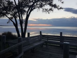 Image of Estuary Waterfront - View from your Courtyard!