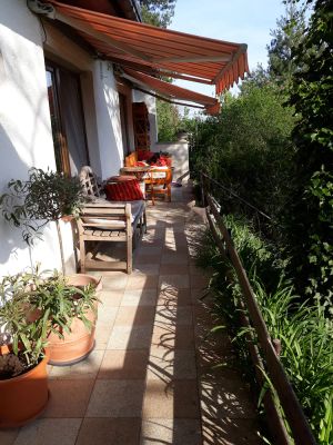 Image of Bungalow on the outskirts with terrace under mature trees