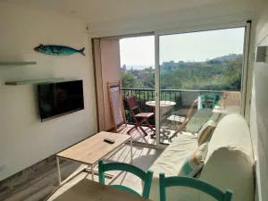 Image of Ambeille Collioure