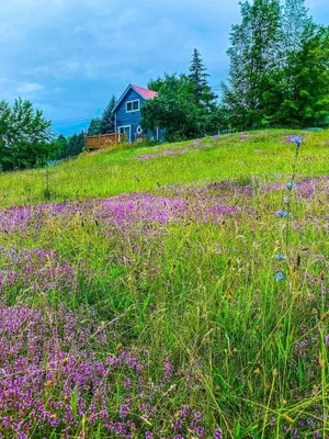 Image of Cozy Adirondack Loft Near Lake Champlain & George, Hiking and Historical Sites