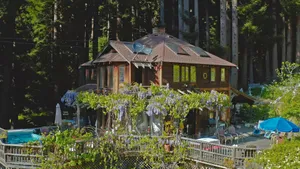 Image of Santa Cruz mountain Redwoods: Sunny beautiful home: VRP#221367: