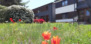 Image of Holiday apartment Meura for 2 - 3 persons with 1 bedroom - Holiday house