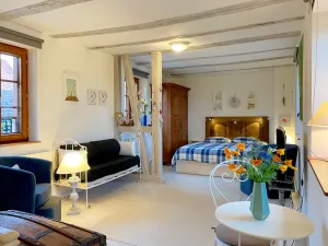 Image of Adorable little typical Alsatian house, free wifi