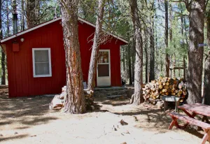 Image of Rustic Cabin-\"Squirrelville\"