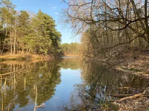 Image of Bungalow im Wald am See - Biberspur