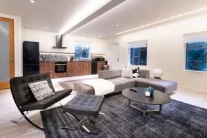 Image of Modern Loft with Park Like Setting View
