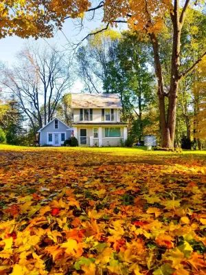 Image of Tao Cottage of Marietta