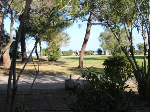 Image of ARGELES SUR MER - Appartement T2 Bis face à la plage - FR-1-309-494