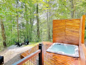 Image of Asheville Dome Sleeps 6 + Hot Tub + Mountain View