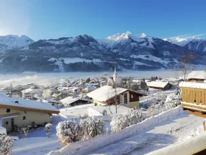 Image of Completely and attractively furnished flat