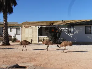Image of Hartog Cottage 2 Denham