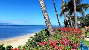 Image of Lahaina Shores 406 Beach Front Mountain View