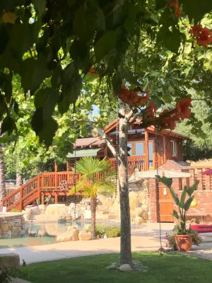 Image of TREE CABIN FOR 2🌲Unique cabin close to San Luis Obispo, Morro Bay & Paso Robles