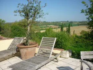 Image of La petite Maison du Gers