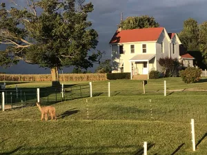 Image of Farmhouse Getaway \nLocated between boat ramps and 20 minutes to Miami.