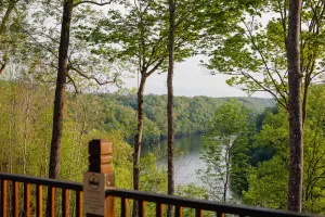 Image of Lake View Nature Cabin at Bear Bluff Retreat