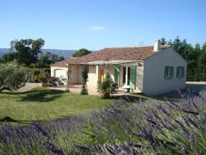 Image of villa with private pool in a quiet area: Les Oliviers