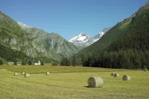 Image of The MaiZon du Bois - The Bottom 70 m²