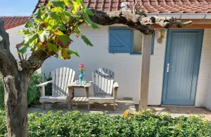 Image of Zeepolder I 45 - very cosy holiday home