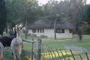 Image of Gardian Aigues Mortes cabin-style house rental