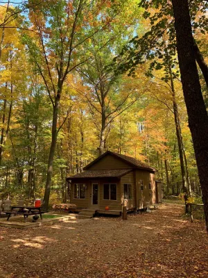 Image of Little Cabin in the Woods - Quiet