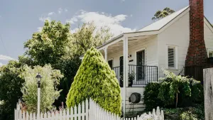 Image of Candlebark Daylesford