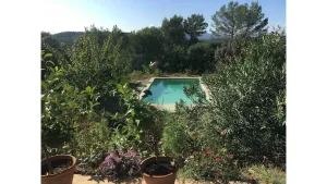 Image of Dreaming in Provence among the olive trees, with a view of the Sainte Beaume mountain range