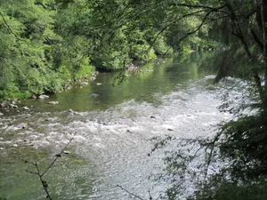 Image of Welcome to Cabin on the Middlerun  -  All Cedar Cabin On The Sol Duc River
