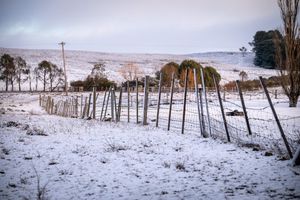 Image of Snowdrift Cottage  at Springwell - Historical Farm Stay