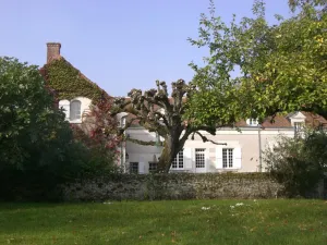 Image of Charming Renovated Estate with Pool, BBQ, and Vineyards near Loire Castles